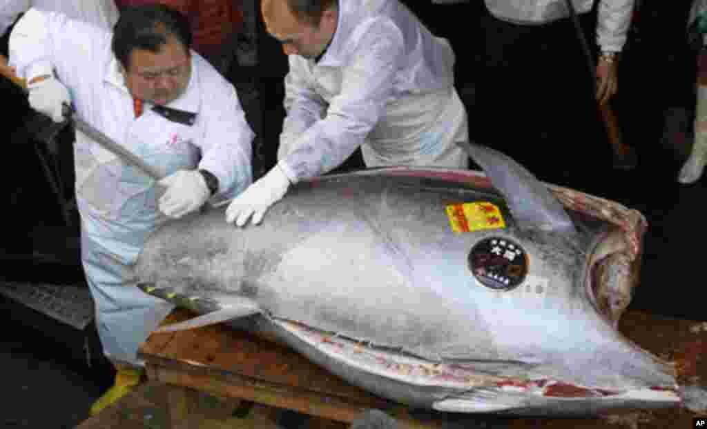 A chef cuts a bluefin tuna at a sushi restaurant in Tokyo January 5, 2012. The 269-kilogram (593 lbs) tuna caught off the coast of northern Japan, was sold at a record of 56.49 million yen ($736,234) in the country's first fish auction of the year. REUT