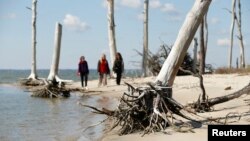 FILE - Women walk through a coastal ghost forest believed to be caused by sea level rise on Assateague Island in Virginia, Oct. 25, 2013. 