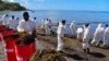 Des volontaires ramassent des algues mélangées au fioul qui fuit du vraquier MV Wakashio qui s'est échoué sur la plage du Bois des Amourettes, à Maurice, le 13 août 2020.
