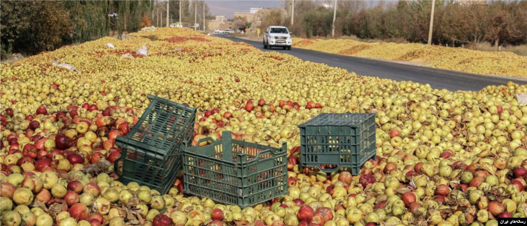 انباشت سیب در حاشیه جاده&zwnj;های ارومیه عکس: مهرداد تبریزی 