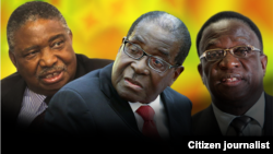 President Robert Mugabe with his two deputies, Phelekezela Mphoko (L) and Emmerson Mnangagwa (R). Collage by Ntungamili Nkomo