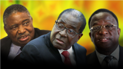 Report on Mugabe Succession Filed By Irwin Chifera