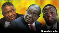 President Robert Mugabe and his two deputies, Phelekezela Mphoko (L) and Emmerson Mnangagwa (R). Collage by Ntungamili Nkomo