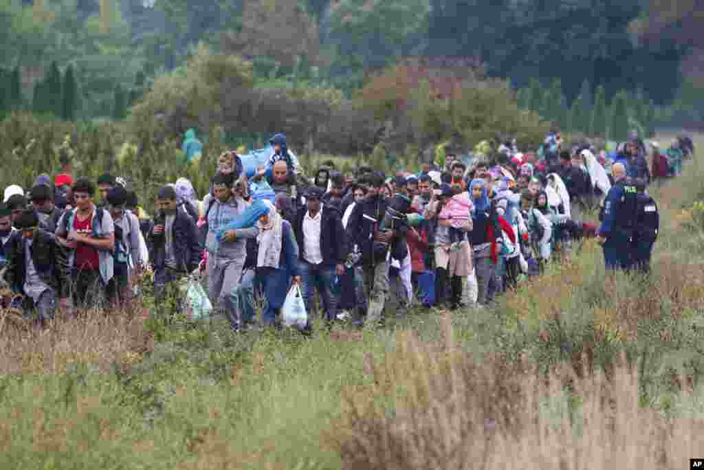 Migrants are escorted by Hungarian police officers as they walk towards the railway station in Zakany, 230 kms southwest of Budapest, Hungary, after they crossed the border from Croatia.