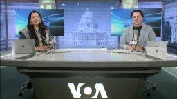 بي بي شیرینه – په ټیلې ویژن