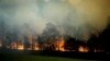 Kebakaran hutan terjadi di Bodalla, New South Wales, Australia, Sabtu, 25 Januari 2020. (Foto: AP)