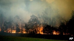 Kebakaran hutan terjadi di Bodalla, New South Wales, Australia, Sabtu, 25 Januari 2020. (Foto: AP)