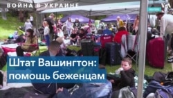 Деятельность украинских волонтеров в Вашингтоне 