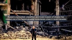 A Fast Growing Humanitarian Crisis In Ukraine