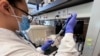 Emily Lu, estudiante de ciencia medioambiental en Ohio State, trata de extraer ácido ribonucleico (ARN) de una muestra de aguas residuales para buscar restos de coronavirus, el 23 de marzo de 2022, en un laboratorio del centro en Columbus, Ohio.