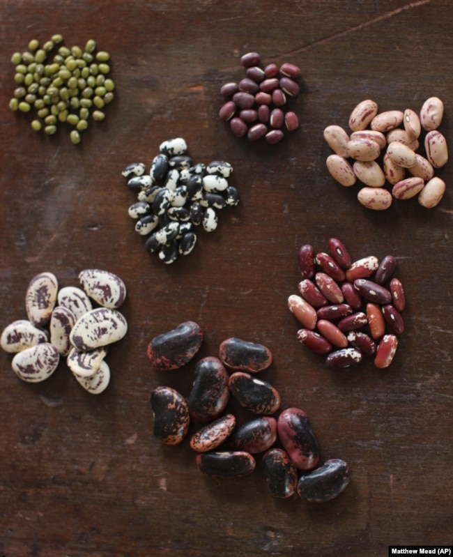 FILE - This Sept. 14, 2015 photo shows, from top left clockwise, mung, adzuki, cranberry, Jacob cattle, scarlet runner, Christmas pole butter beans, and orca dried beans in Concord, N.H. (AP Photo/Matthew Mead)