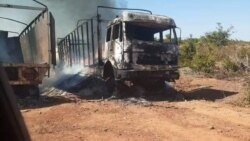 Lakana lahaalayaw Koro, Doma sigida dankariw kofe