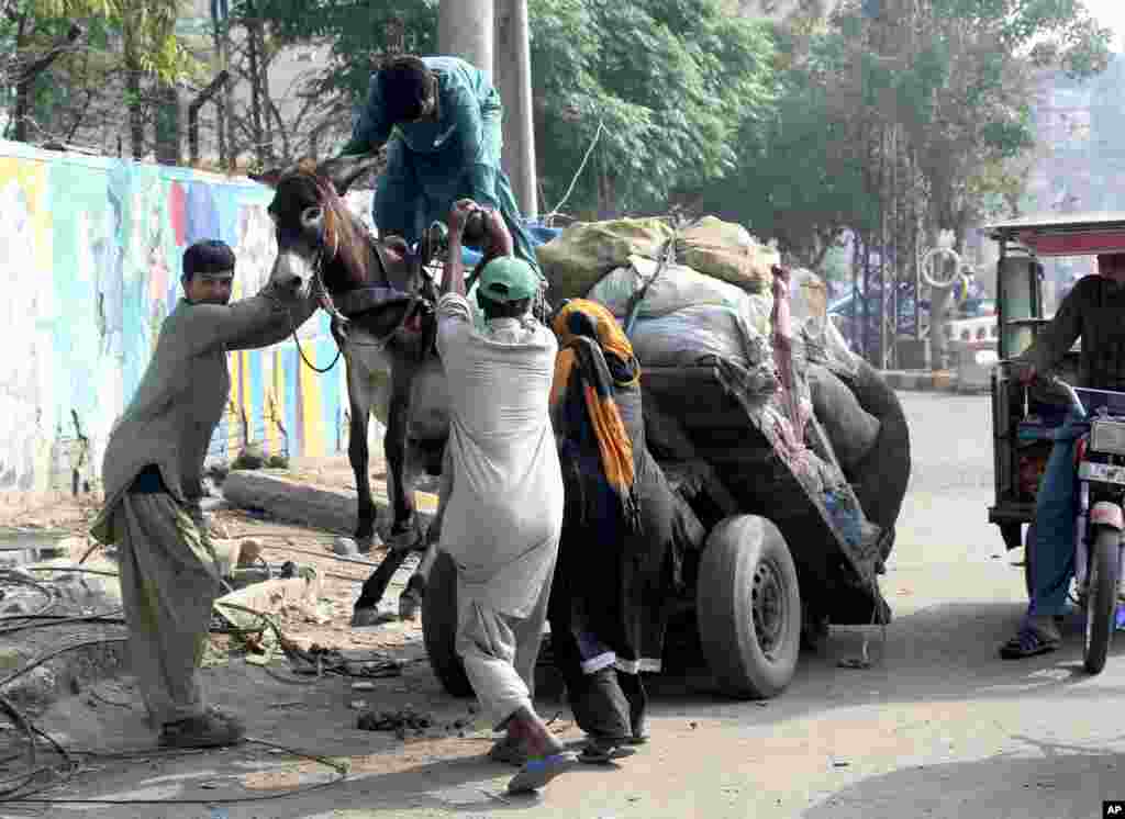 Passers-by help as an owner tries to pull a donkey back onto the ground after an overloaded cart tipped upward on a road in Lahore, Pakistan.