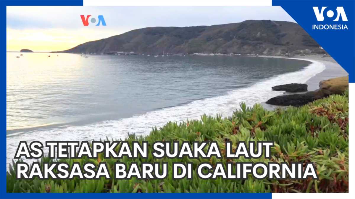 Amerika Tetapkan Suaka Laut Raksasa Baru di California