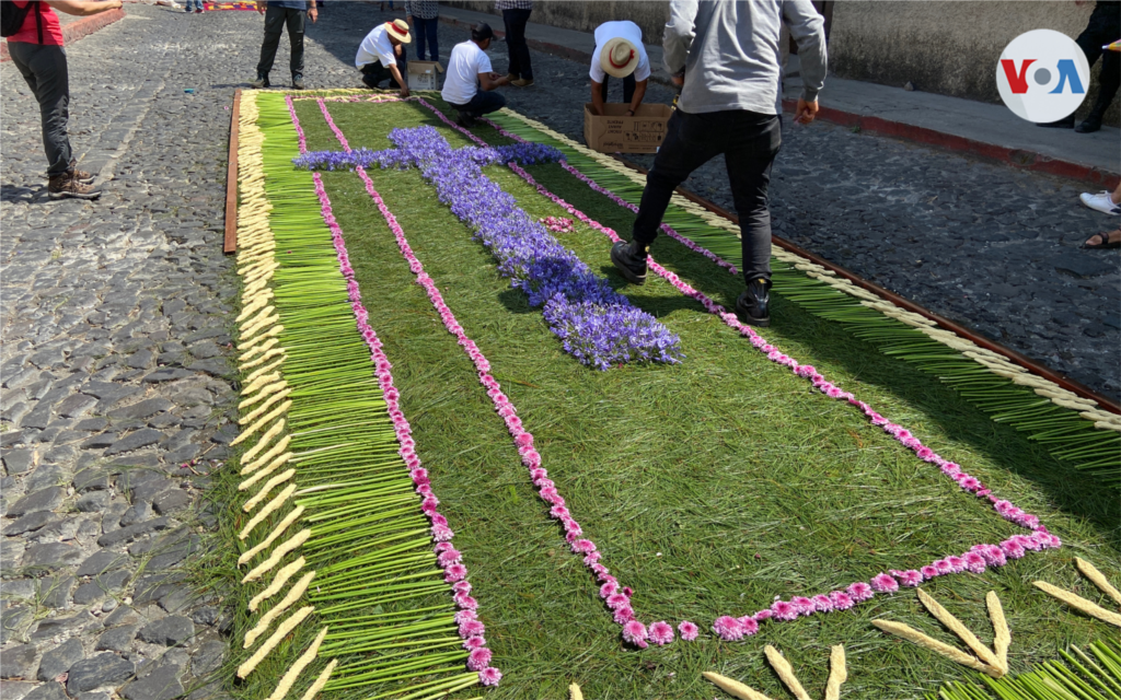 El pino y las flores son característicos de las alfombras. Un grupo de personas se organiza para preparar el paso de la procesión de Jesús Nazareno del Perdón este jueves santo, en Antigua Guatemala.