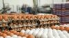 یک مقام صنفی ممنوعیت صادرات تخم‌مرغ ایران به عراق تحت فشار ترکیه را تأیید کرد؛ اتاق بازرگانی: بی‌اطلاعیم