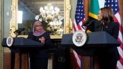 美國副總統賀錦麗會晤坦桑尼亞總統時譴責俄羅斯