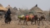 A woman drives donkeys to transport jerrycans of water in drought-affected areas in Higlo Kebele, Adadle woreda, Somali region of Ethiopia, in this undated handout photograph. (World Food Program/Handout via Reuters)