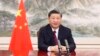 View China's Xi as Party Leader, Not President, Scholars Say