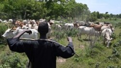 Bobo-Dioulasso mara la, senekelaw ka, samiya laben geleyaw