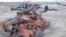 Drone Shows Russian Tank Graveyard Near Kyiv 