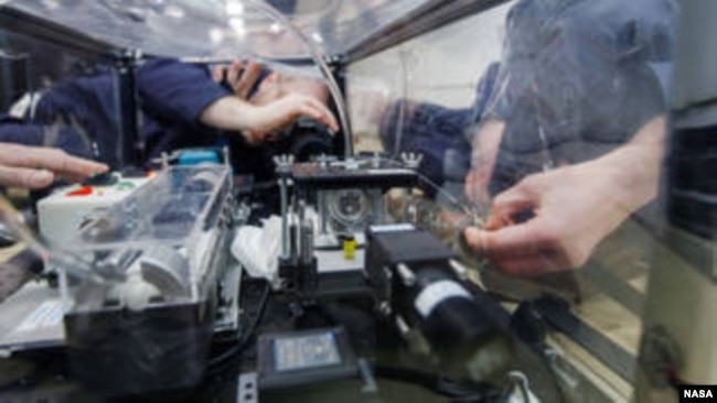 FLUTE researchers capture data while they push synthetic oil into a circular frame, momentarily forming a liquid lens during a 15 to 20-second period of microgravity on a ZeroG parabolic flight. (Image Credits: Technion - Israel Institute of Technology)