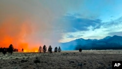 In this photo provided by the Coconino National Forest, the Tunnel Fire burns near Flagstaff, Ariz., April 19, 2022. The wildfire doubled in size overnight into Wednesday, a day after heavy winds kicked up a towering wall of flames outside Flagstaff.