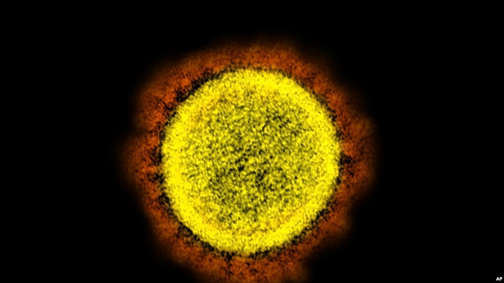 新冠病毒的奥密克戎变异毒株（Omicron Variant）(photo:VOA)