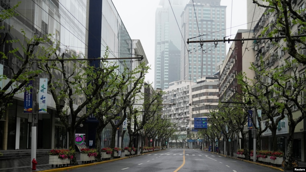 上海封城期间行道树已经长出绿叶。（路透社2022年4月14日）(photo:VOA)