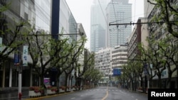 上海封城期間行道樹已經長出綠葉。 （2022年4月14日）