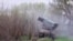 Ukrainian Soldiers Fire Grad Rockets From Kharkiv Region 