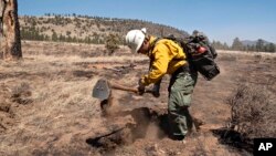 A member of the Arizona Department of Forestry and Fire Management Phoenix Crew digs at burning roots in the battle against the Tunnel Fire, April 21, 2022, near Flagstaff, Ariz.