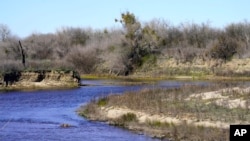 The Tuolumne and San Joaquin rivers meet on the edge of the Dos Rios Ranch Preserve in Modesto, California, February. 16, 2022. (AP Photo/Rich Pedroncelli)