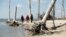 FILE - Women walk through a coastal ghost forest believed to be caused by sea level rise on Assateague Island in Virginia, Oct. 25, 2013. 