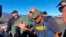 Police assemble near demonstrators blocking a road at the base of Hawaii's tallest mountain, Mauna Kea, Monday, July 15, 2019, on Hawaii's Big Island.