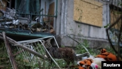 一直猫站在乌克兰顿涅茨克州巴赫穆特一座被俄罗斯导弹破坏的居民楼前的一个玩具老虎旁边。(2022年6月13日)