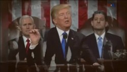 اخبار شامگاهی