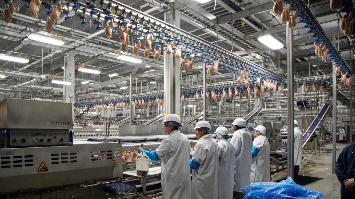 Company 4 Poultry Workers Dead From Coronavirus
