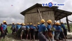 Manchetes Mundo 12 Junho 2017: Putin prende opositor