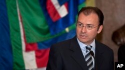 Ministro de Relaciones Exteriores de México, Luis Videgaray.