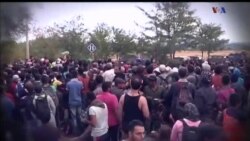 اخبار شامگاهی