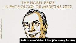 Svante Pääbo dobitnik je Nobelove nagrade za fiziologiju ili medicinu 