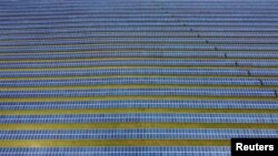 A field of solar panels is seen near Royston, Britain.