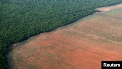 FILE - The Amazon rainforest (L), bordered by deforested land prepared for the planting of soybeans, is pictured in this aerial photo taken over Mato Grosso state in western Brazil, Oct. 4, 2015.