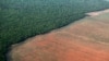 Amazon Deforestation Rising Under Brazil’s Bolsonaro