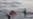 Tunisian Security Chiefs Fired After Mass Migrant Drowning