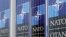 NATO cho tới nay chưa đồng ý với đề nghị của Ukraine là được gia nhập nhanh chóng vào khối vì một số thành viên cảnh giác với những động thái mà họ lo ngại có thể đưa liên minh tiến gần hơn đến một cuộc chiến với Nga.
