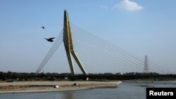 Burung-burung terbang di atas perairan sungai Yamuna di dekat jembatan Signature, di New Delhi, India, pada Hari Bumi, 22 April 2020. 