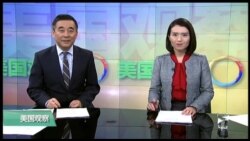 美国观察2017年11月15日