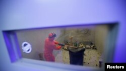 Customer Liu Chao, wearing protective gear, is seen through a window as he smashes bottles in an anger room in Beijing, China January 12, 2019. (REUTERS/Jason Lee)